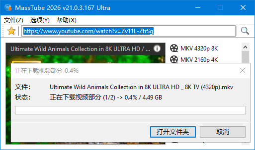 图片[1]-MassTube v22.1.0.216 便携版 | 海外视频下载工具-便携小站